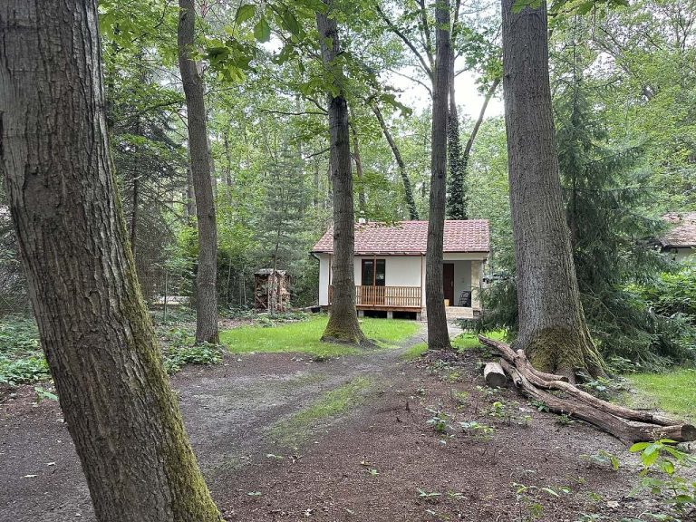 ac3ec0b1-9ffe-40b6-85ab-3adfd9117010-1-102-o-4bc2-926799