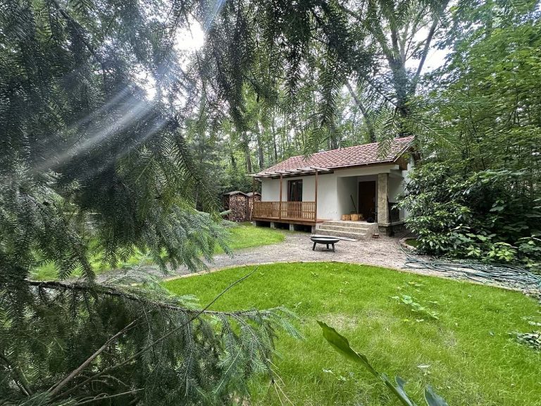 d56ce549-cad1-4041-aba0-4690360a70d3-1-102-o-61ac-926800